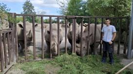 Veterinarski tehniki na Erasmus+ mobilnosti na Češkem  BIC Ljubljana