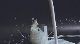 Mleko: foto Anita Jankovic 