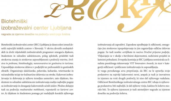 Nagrada za izjemne dosežke na področju šolstva 2020 BIC Ljubljana