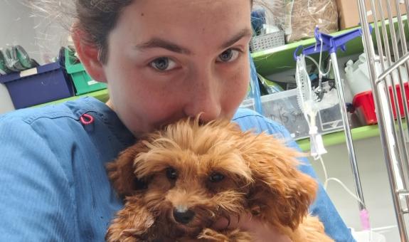 Praksa bodočih veterinarskih tehnic na BIC Ljubljana na Irskem 2025