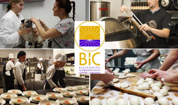 BIC Ljubljana has been nominated for the ”VET Innovators Award