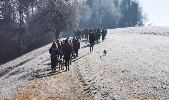 športni dan na BIC Ljubljana