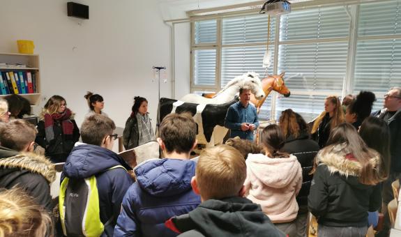 BIC Ljubljana, Gimnazija in veterinarska šola