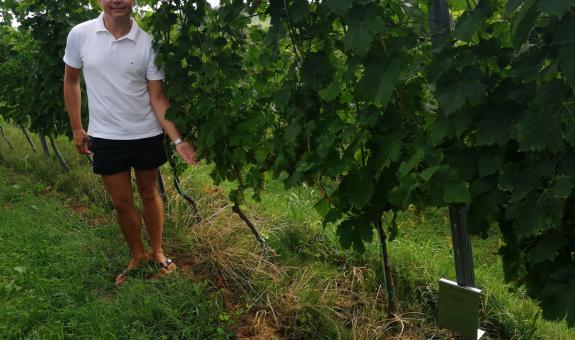 PROJEKT »OD TRTE DO VINA«