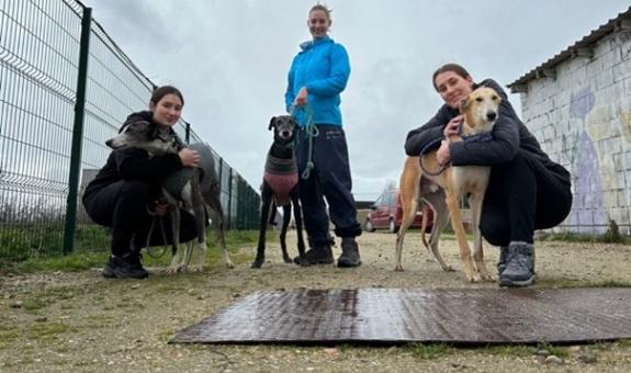 Bodče veterinarske tehnice BIC Ljubljana na praksi v Španiji 2024
