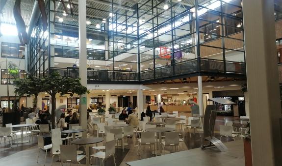 Mednarodna mobilnost za zaposlenih na BIC Ljubljana
