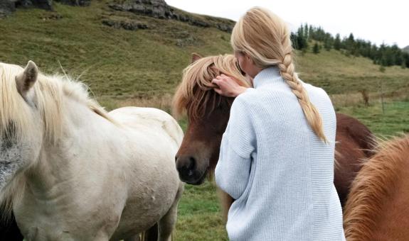 Veterinarski tečaj na BIC Ljubljana: uposabljanje članov društev in zaposlenih v organizacijah, ki na področju zaščite živali delujejo v javnem interesu