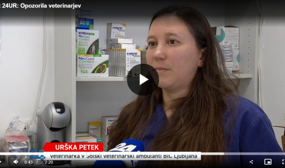 Urška petek, dr. vet. med. iz Šolske veterinarske ambulante o bolezni leišmanijozi