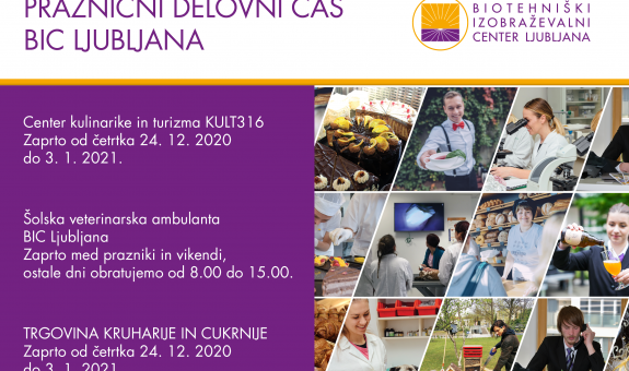 Praznični delovni čas BIC Ljubljana