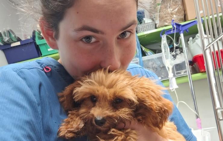 Praksa bodočih veterinarskih tehnic na BIC Ljubljana na Irskem 2025