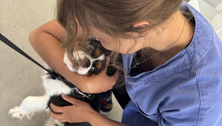 Veterinarski tehniki BIC Ljubljana na Malti