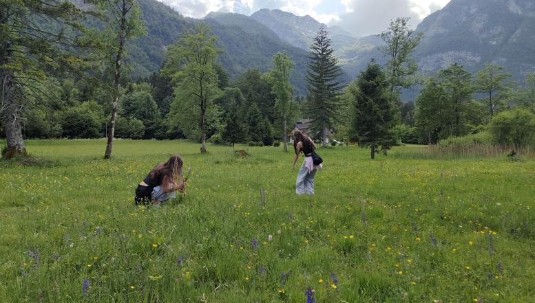 Strokovni tabor v bohinju BIC Ljubljana 2026