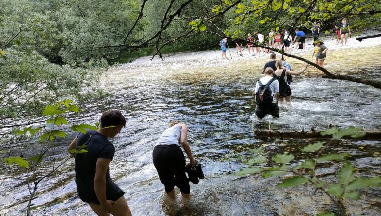 Strokovni tabor v bohinju BIC Ljubljana 2026