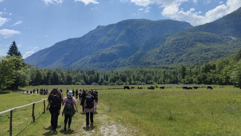 Naravovarstveni tabor Živilska in naravovarstvena šola BIC Ljubljana 2026 Bohinj