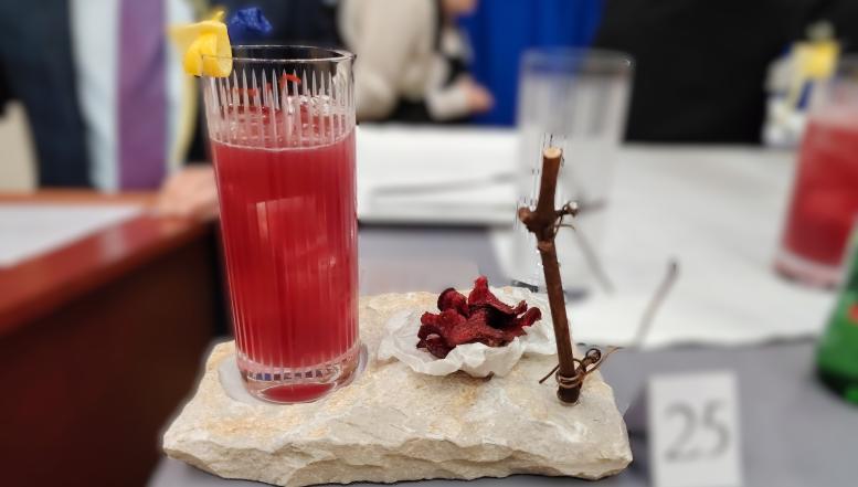 BIC Ljubljana na 6. mednarodnem barmanskem tekmovanju Badel Barmen Junior Cup v Zagrebu  Naši študenti Višje strokovne šole BIC Ljubljana, študijskega programa Gostinstvo in turizem, so na 6. mednarodnem barmanskem tekmovanju Badel Barmen Junior Cup