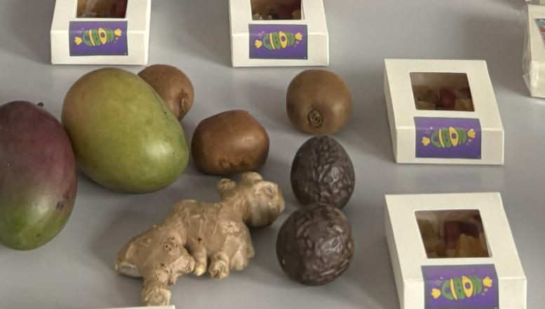Vitaminski želejasti bonboni BIC Ljubljana, tekmovanje Moje podjetje 2026