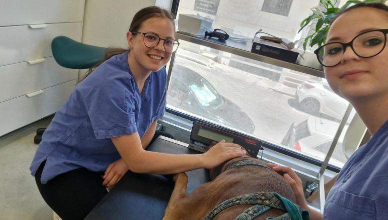 Veterinarske tehnice na Malti Erasmus+ BIC Ljubljana 2026