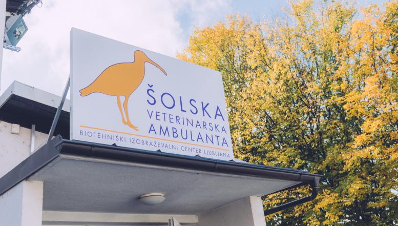 Šolska veterinarska ambulanta BIC Ljubljana